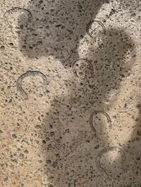 IMG_3057.jpeg