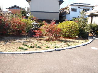 植栽がとても素敵ですね