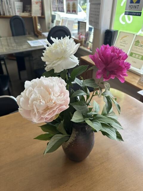 https://www.lixil-reformshop.jp/shop/SP00000348/photos/IMG_7846.jpeg