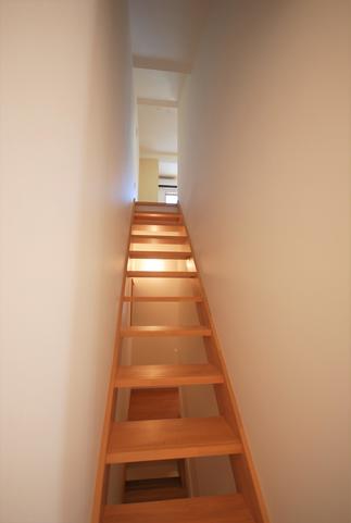 ２階からの自然光が1階まで届きます