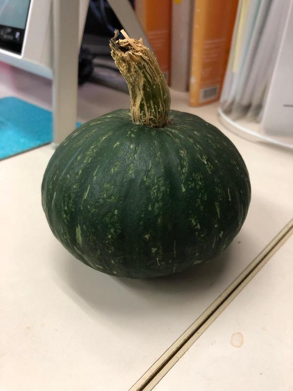 IMG_2086.jpgのサムネイル画像