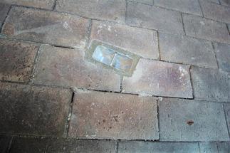 積雪、強風時に安心のオプションのサポート