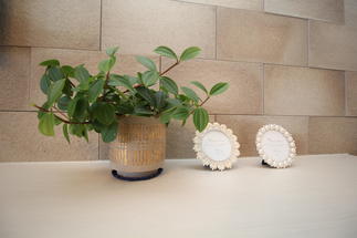 エコカラット　新作の「つちのは」