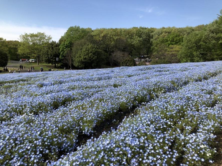 15926743173041 (1).jpg