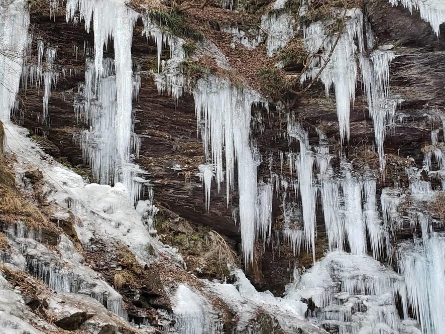 15845509102907 (1).jpg