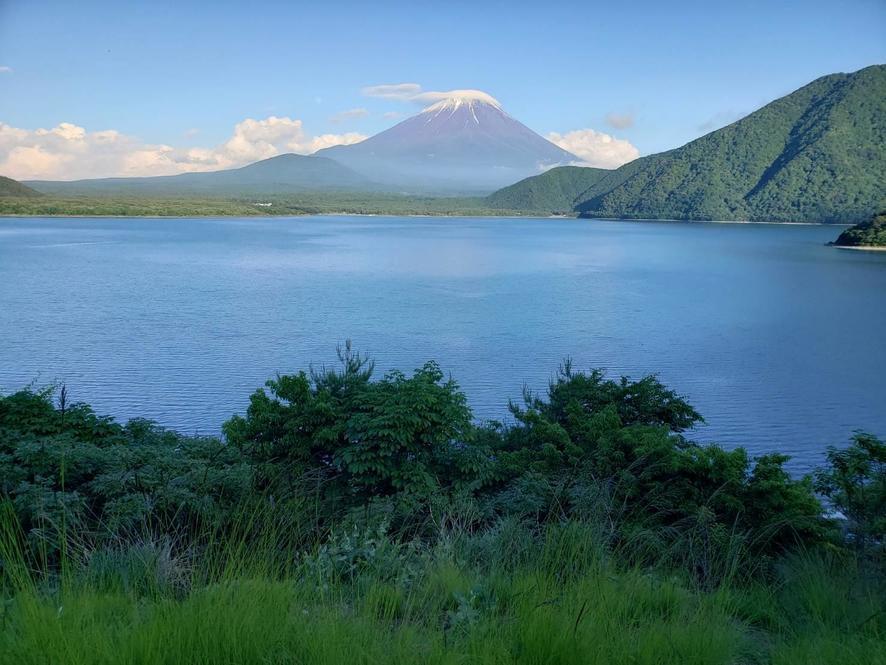 16262873319294 (1).jpg