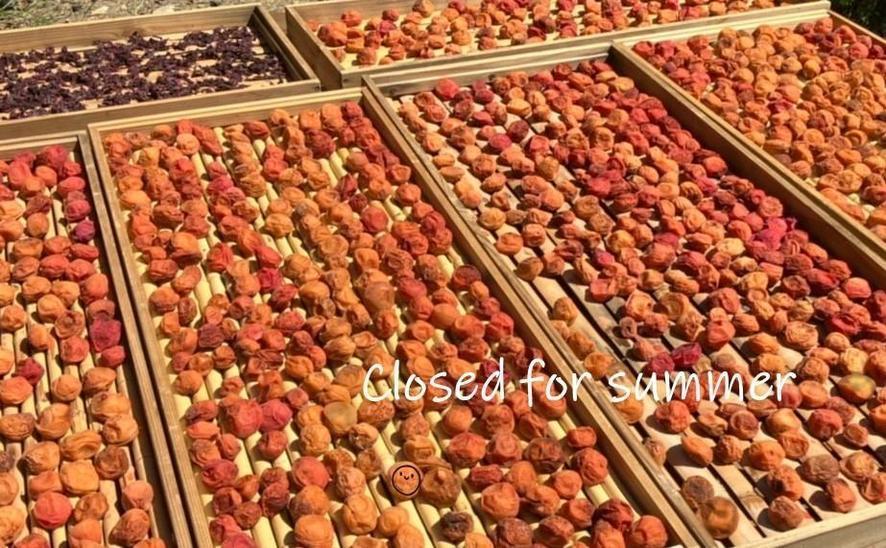 closed for summer.jpg