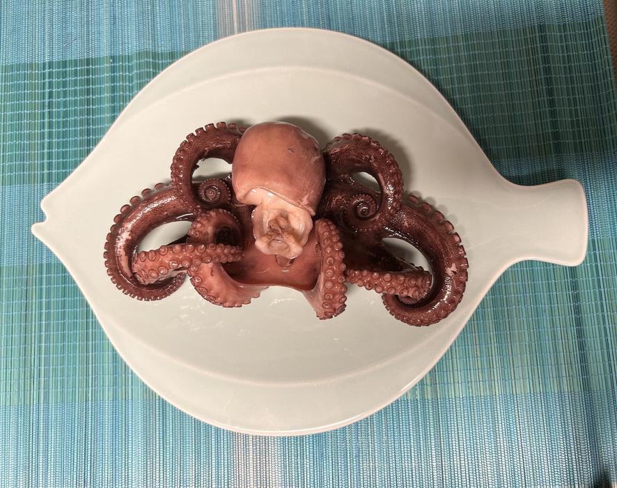 octopus3.jpg