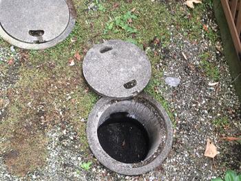 写真 2017-05-15 9 52 59.jpg