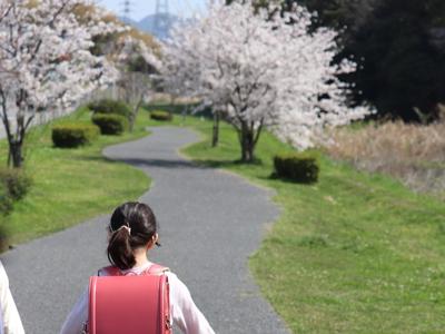 小学生と桜.jpg