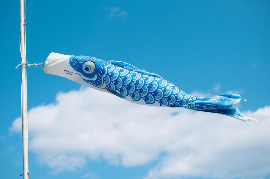 koinobori.jpg