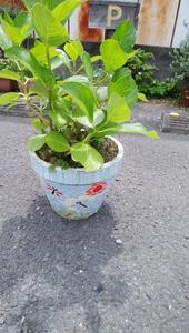 タイルアートの鉢