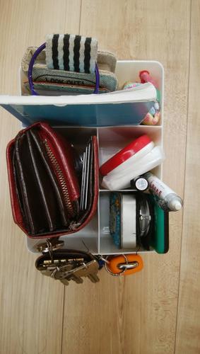 夏用バッグの指定席