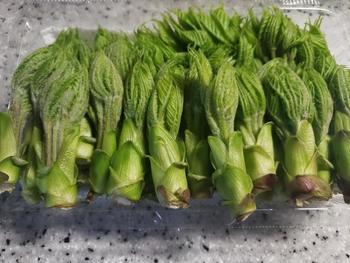 20200422_181016.jpgのサムネイル画像