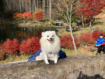 IMG_4679.JPGのサムネイル画像