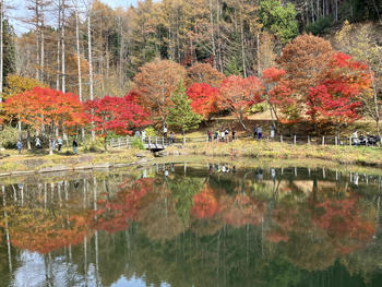 IMG_4685.JPGのサムネイル画像