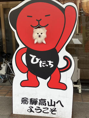 IMG_4708.JPGのサムネイル画像