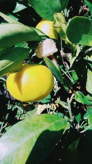 line_1539407173401.jpgのサムネイル画像