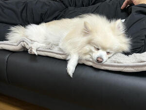 IMG_9427.jpg