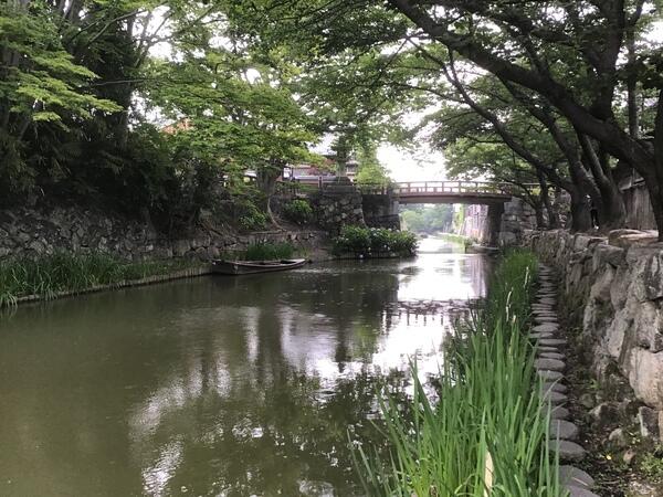 八幡掘り.jpg