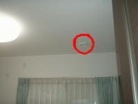 P1010113.JPGのサムネイル画像