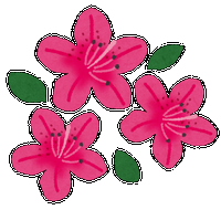 ツツジ ブログ用.png