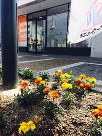 ショップ前花１.jpeg