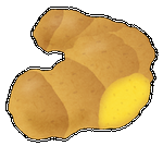 生姜　ブログ用.png