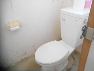 施工前　トイレ