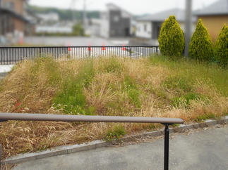 リフォーム前①