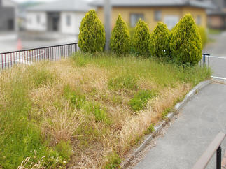 リフォーム前②