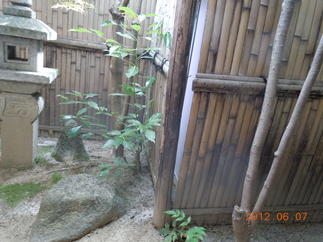  【Ｂｅｆｏｒｅ】