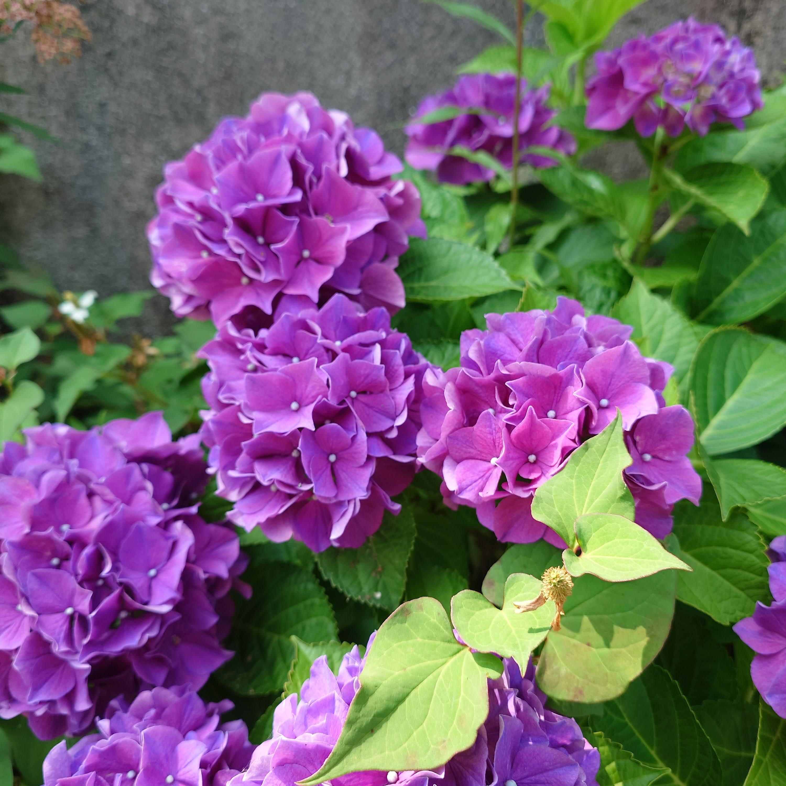 https://www.lixil-reformshop.jp/shop/SP00000478/photos/80557d4cbdeea10c28940aca3d656ad606c06354.JPG