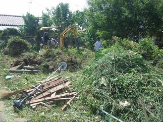 樹木伐採・伐根