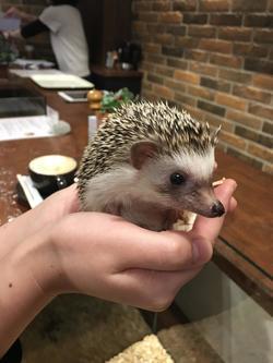 写真 2018-03-11 13 57 08.jpg