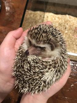 写真 2018-03-11 14 32 28.jpg