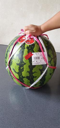 すいか.jpg