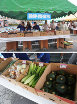 acアイキャッチ (630 x 1200 px) (26)13.png