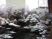 IMGP1909.JPGのサムネイル画像