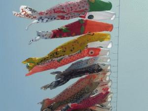 IMGP2822.JPGのサムネイル画像