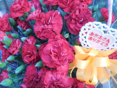 DSCN1921.JPGのサムネイル画像