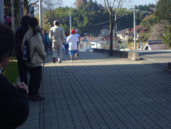 P1020784.JPGのサムネイル画像