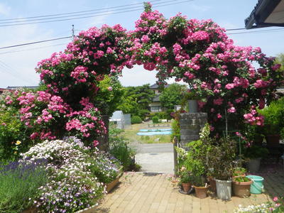 IMGP4063.JPGのサムネイル画像