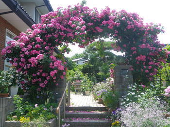 IMGP4066.JPGのサムネイル画像のサムネイル画像