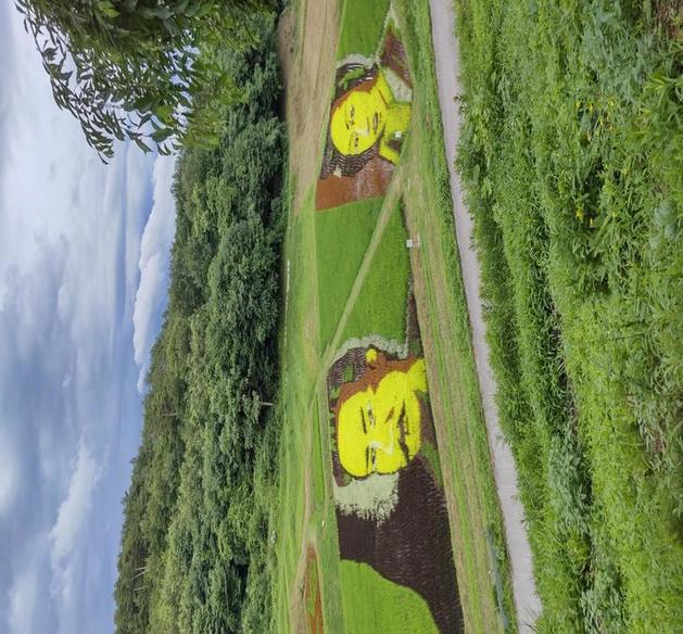 DSC_0267.JPGのサムネイル画像