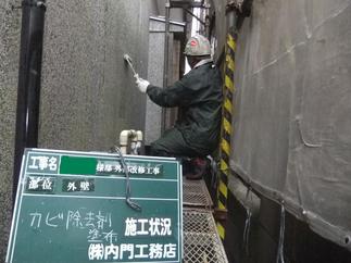 洗い出し壁のカビ清掃