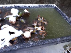 20230125_084246 (002).jpg