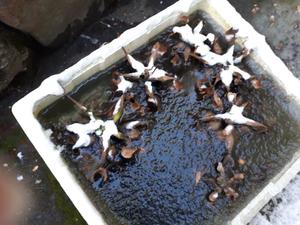 20230125_084250 (002).jpg