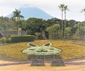 花壇1 - コピー1.jpg