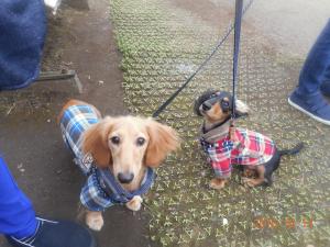 DSCN5757 えどちゃん　あるちゃん.JPG